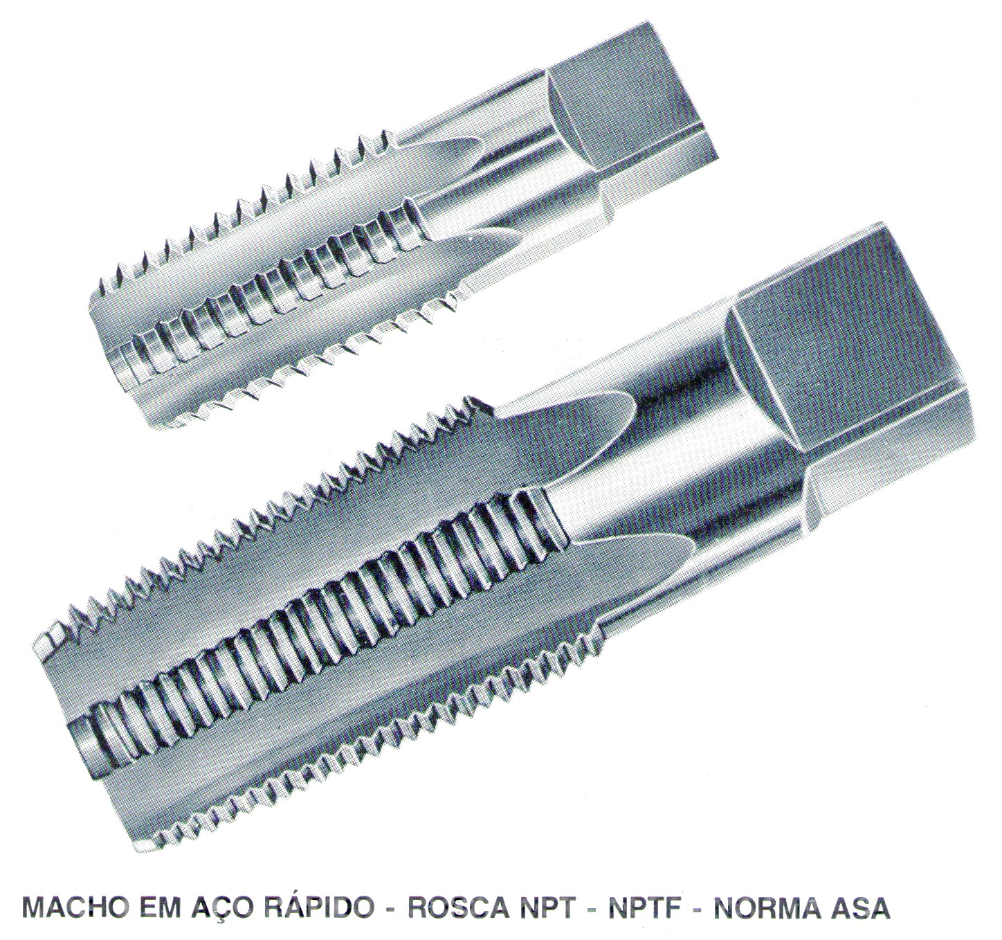Macho c�nico